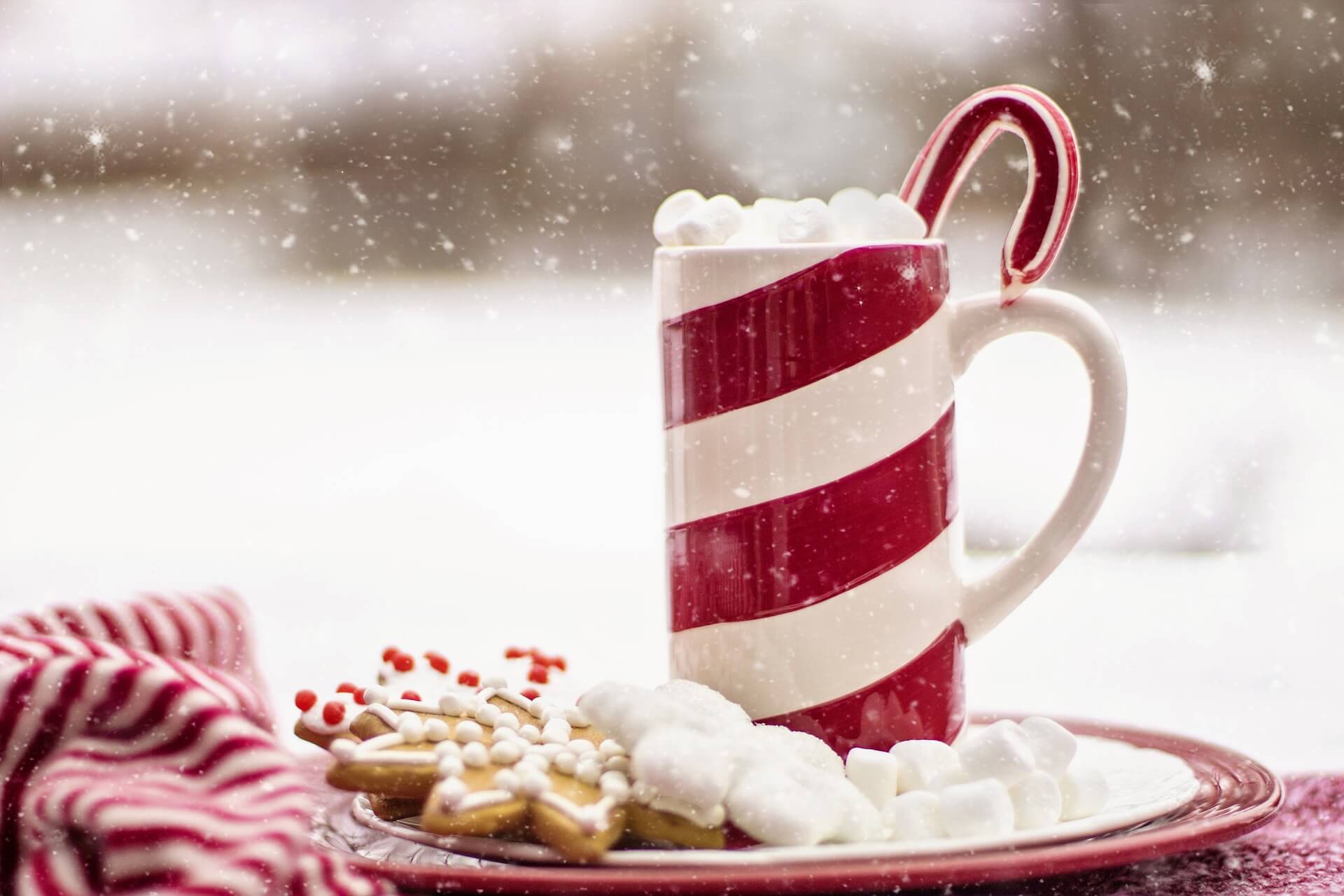 Tasse de chocolat chaud avec sucre d'orge, marshmallows avec fond de neige